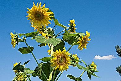 《黑帝斯2》抢先体验2号补丁上线 游戏平衡性大改动