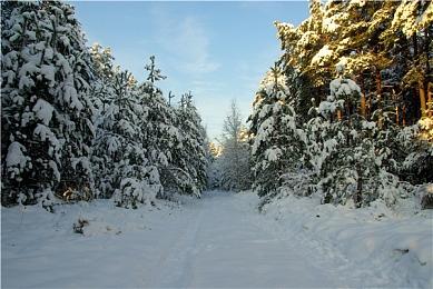 EA《钢铁侠》游戏在漫威协助下讲述全新故事