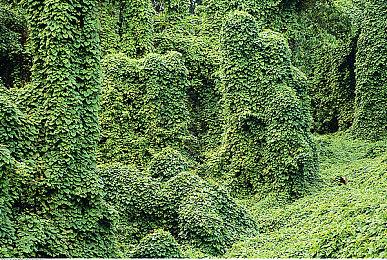 《七大罪：起源》G-Star展会公布新截图和全新细节