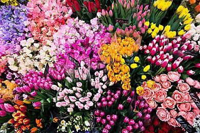 《饿殍：明末千里行》销量超40万 可能将上移动端