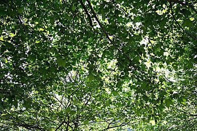 《原神》刻晴和凝光全新衣装展示 老婆都挺好看